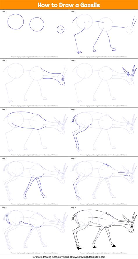 How to Draw a Gazelle printable step by step drawing sheet : DrawingTutorials101.com