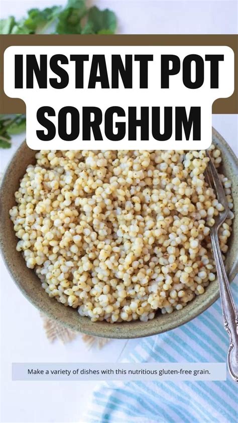 Instant Pot Sorghum | Indian food recipes, Sorghum recipes, Instant pot recipes