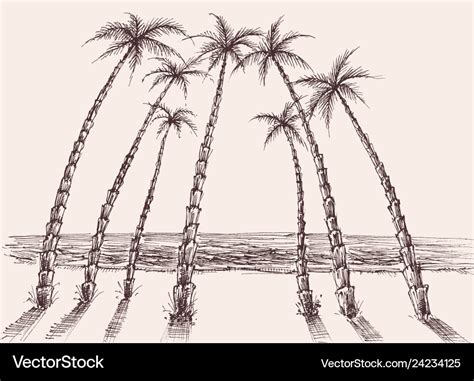 Palm trees beach sea view hand drawing Royalty Free Vector