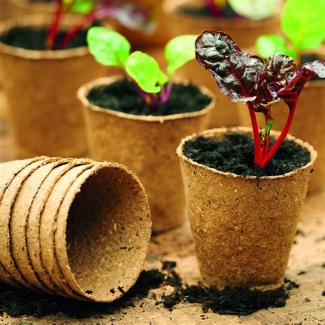 Biodegradable Plant Pots | OnePronic