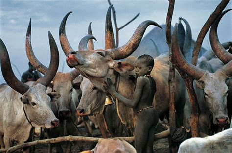 MYTHOLOGIES OF THE DINKA TRIBE – Indigenous Peoples Literature