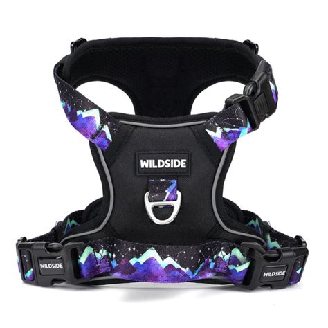 Using a front-clip vs. back-clip dog harness – Wildside Dog Gear