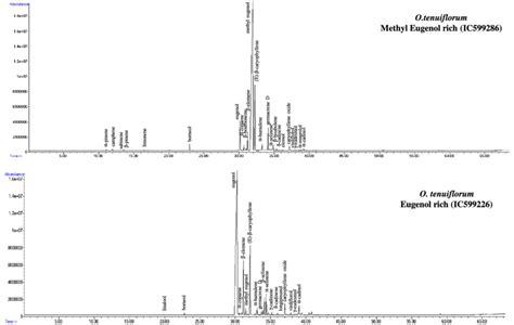 Gas chromatogram of essential oil of O. tenuiflorum chemotypes (Methyl... | Download Scientific ...