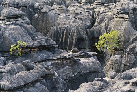 Karst Formations in Australia - Stock Image - C012/8578 - Science Photo Library