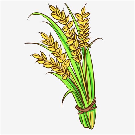 Rice Crops Clipart Vector, Autumn Mature Crop Paddy Rice, Rice, Illustration, Autumn PNG Image ...