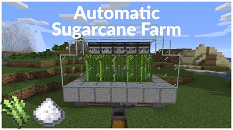 Simple Sugar Cane Farm | Minecraft 1.16 + (Java & Bedrock) - YouTube