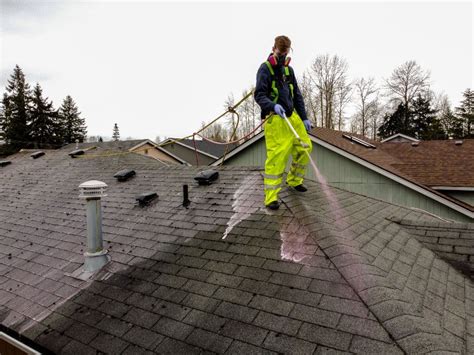 A Guide to Soft Wash Roof Cleaning Services | Brook