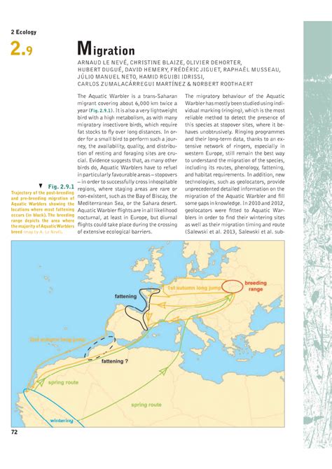 (PDF) Migration of the Aquatic Warbler (Acrocephalus paludicola)