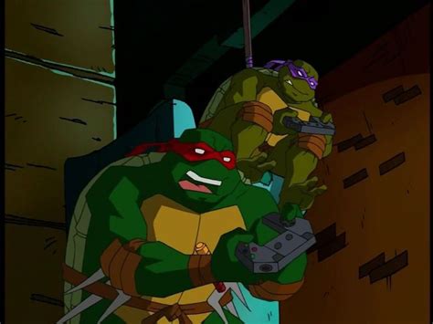 TMNT 2003 | Tmnt, Cartoon turtle, Turtles forever