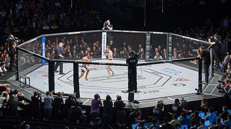 MMA closer to being legal again in New York as Assembly votes to lift ...