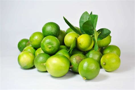 All About Lime Juice - Mocktail.net