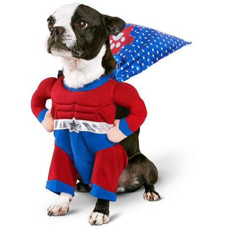 Marvel Dog Halloween Costumes | Candace D Halloween