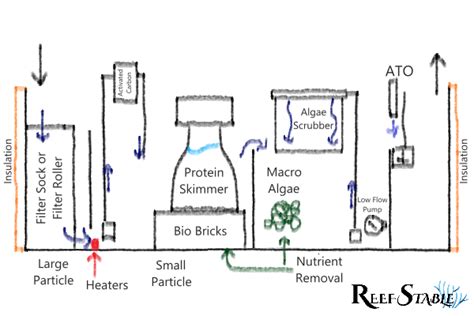 How to Design a Reef Tank Sump