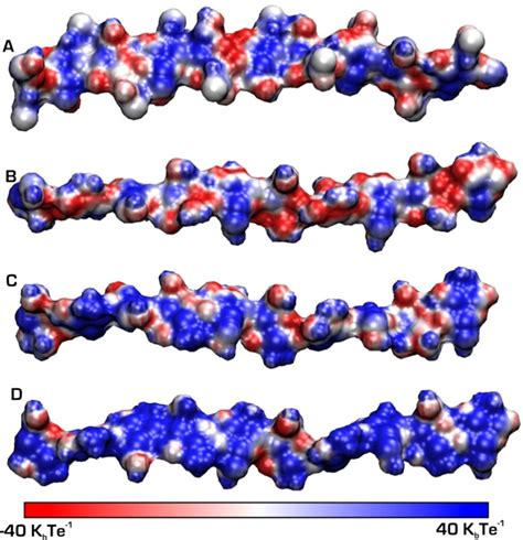 The Molecular Structure and Conformational Dynamics of Chitosan Polymers: An Integrated ...