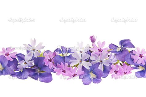 Purple spring flower border | Purple spring flowers, Flower boarders ...