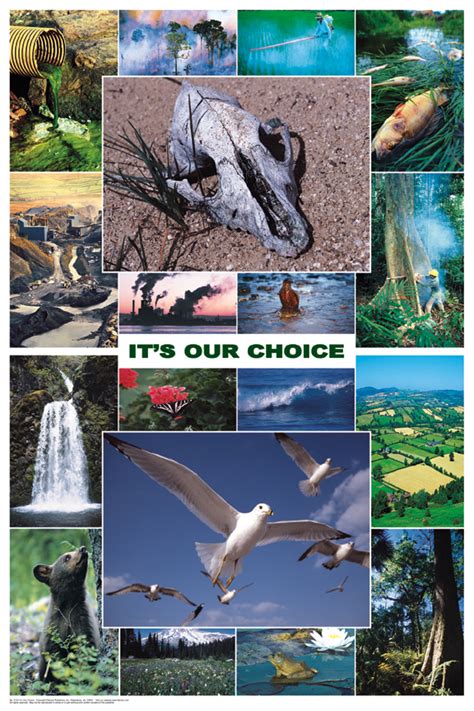 Ecology Poster - its our choice