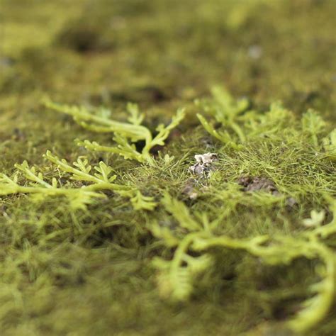 Artificial Moss Sheet - Artificial Greenery - Floral Supplies - Craft Supplies - Factory Direct ...