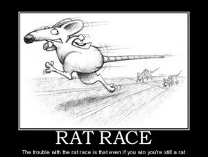 Rat Race Quotes. QuotesGram