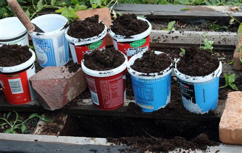 How To Start Composting In A Five-Gallon Bucket