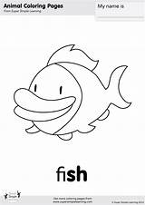 Fish Food Coloring Pages sketch template