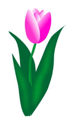 clip art tulip flower - Clip Art Library