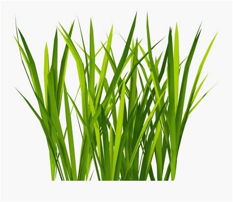 grass texture unity – grass texture seamless – Dadane