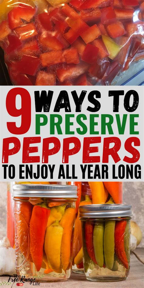 9 Ways to Preserve Peppers for Year-Round Enjoyment