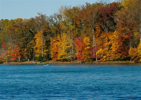 Discover West Virginia Fall Foliage at Its Best - Minneopa Orchards