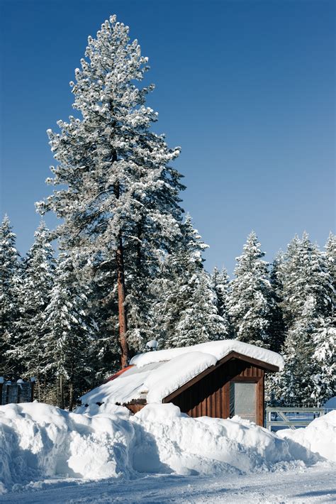 Winter In North Idaho (In 21 Beautiful Photos!) - Great Escapes Journal