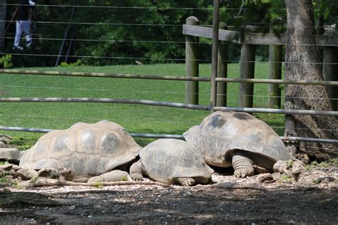 The Robertson Family: New Orleans Zoo