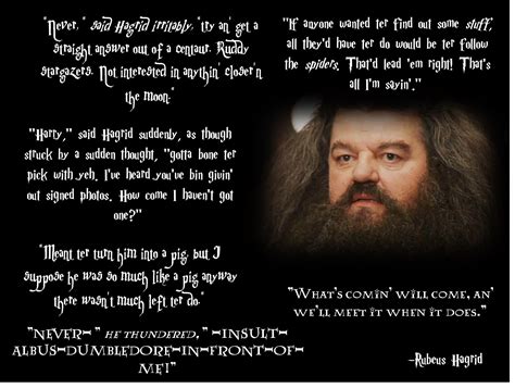 Hagrid Quotes. QuotesGram