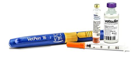 Insulin Pen Vs Syringe - Insulin Choices