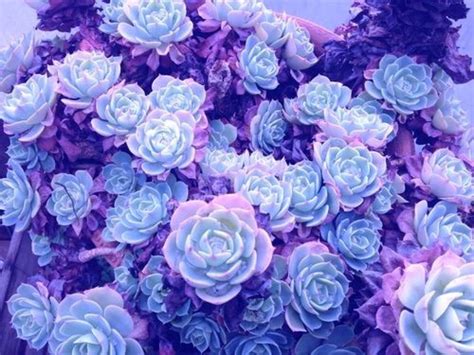 Aesthetic tumblr aesthetic pastel purple wallpaper - bezyvina