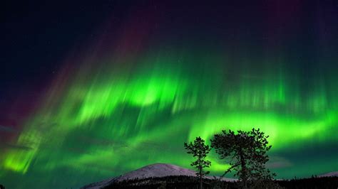 In Pics: What are Northern lights? 5 facts about this stunning Aurora ...