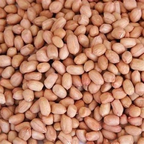 Raw Groundnut, Packaging Type: Vacuum Bag, Packing Size: 1 Kg at Rs 120/kilogram in Chennai