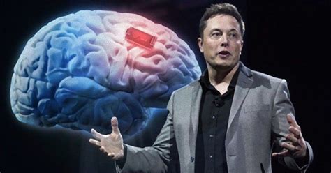 Elon musk microchip brain