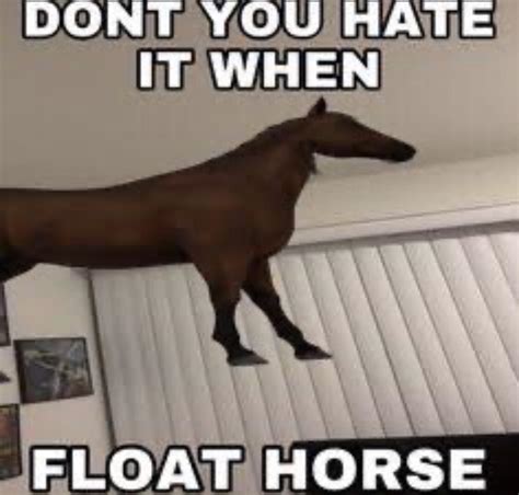 FLOAT HORSE : r/memes