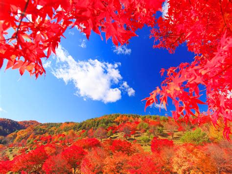 3/4 これぞ絶景！ 全国紅葉スポット12選 [紅葉スポット] All About