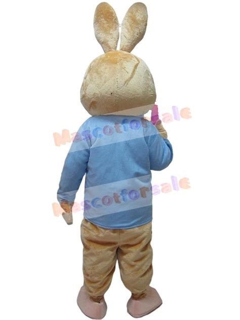 Peter Rabbit Mascot Costume Animal