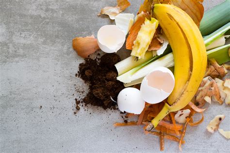 How to Compost at Home