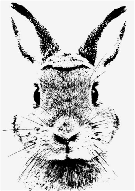Rabbit Drawing, Rabbit Art, Rabbit Painting, Pink Rabbit, Animal ...
