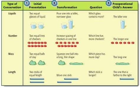 A photo that gives a visual explanation of Piaget's second stage of ...