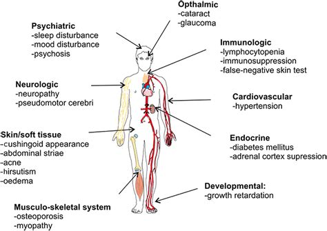 Frontiers | A General Introduction to Glucocorticoid Biology