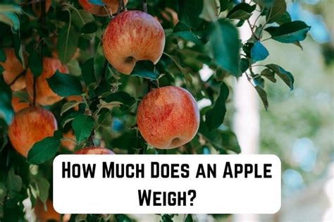 How Much Does an Apple Weigh? (Apple Variety Chart) | Measuringly