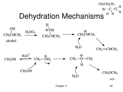 PPT - Chapter 11 Reactions of Alcohols PowerPoint Presentation - ID:151694