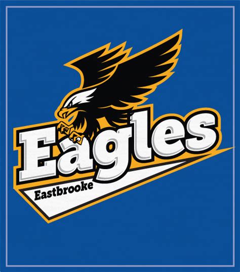 2739 Eagles Mascot T-shirt Script | High School Shirts