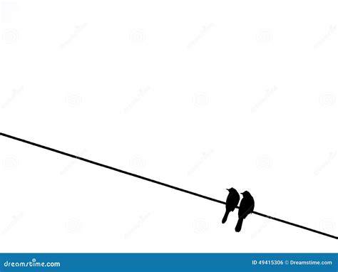 Two birds on the wire stock photo. Image of couple, white - 49415306