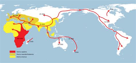 Some 2% of our DNA is Neanderthal. Here's what it does