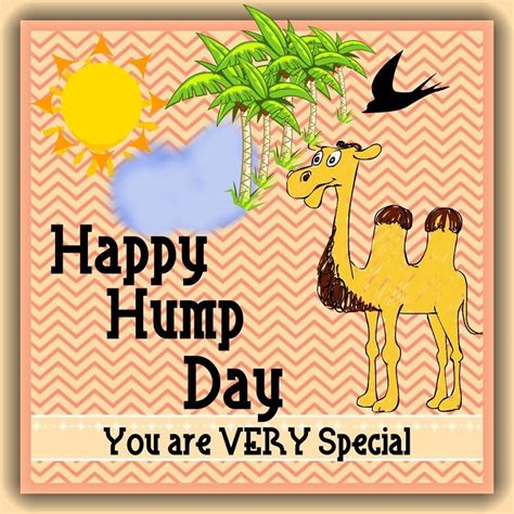 Camel Happy Hump Day Quote Pictures, Photos, and Images for Facebook ...