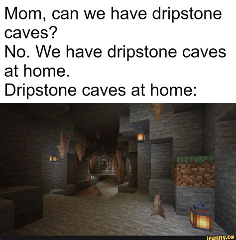 Mom, can we have dripstone caves? No. We have dripstone caves at home. Dripstone caves at home ...